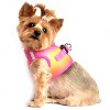 Doggie Design American River Choke Free Dog Harness Ombre Collection-Raspberry Pink and Orange - 3 of 4