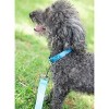 Country Brook Petz Deluxe Nylon Dog Collar and Leash - 3 of 4