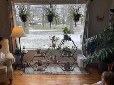 Guest review image 1 of 1, zoom in