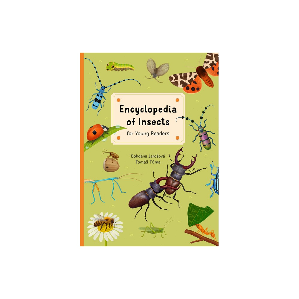 Encyclopedia of Insects for Young Readers - (Encyclopedias for Young Readers) by Bohdana Jarosova (Hardcover)
