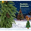 Bella Depot 36 inch Christmas Wreath, Artificial Norfolk Pine Wreath with Pine Cones and Realistic Branches for Door - 4 of 4