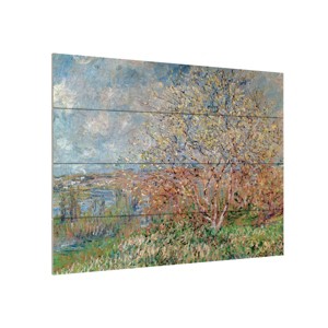 Trademark Fine Art - Claude Monet 'Spring 1880' - 1 of 4