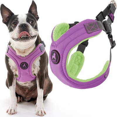 Gooby Escape Free Memory Foam Harness Purple, Large