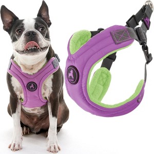 Gooby Escape Free Memory Foam Harness Purple, Small - 1 of 1