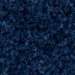 navy/ivory