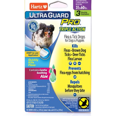 Flea shampoo for dogs target sale