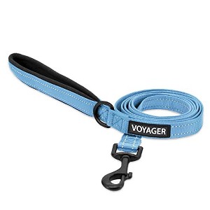 Voyager Reflective Dog & Cat Nylon Leash for All Breeds - 1 of 4