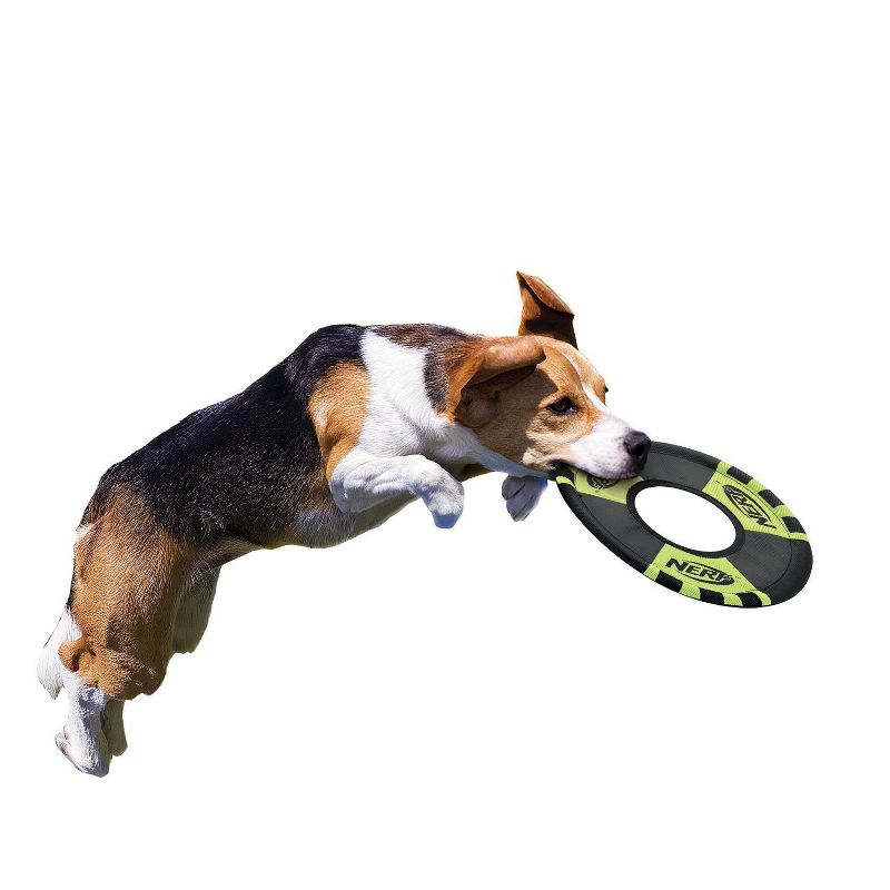 NERF Trackshot Toss and Tug Ring Pet Toy - 9", 3 of 4