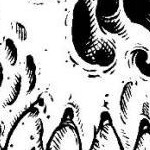 clear push pins bundle