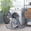Arizona ARZ217 Power Loomed Machine Washable Skid Resistant Indoor Rugs - Safavieh - 3 of 4