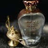 Ard Al Zaafaran Turab Al Dhahab Eau de Parfum for Women N/A 3.4 Oz - 4 of 4