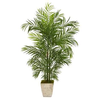 Nearly Natural 63-in Areca Artificial Palm Tree in Country White Planter (Indoor/Outdoor)