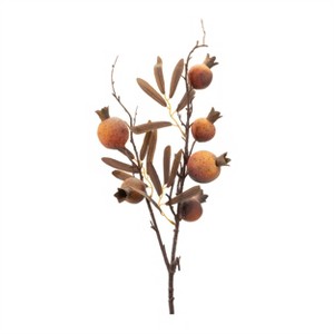 Fall Pomegranate Twig Spray (Set of 6) - 1 of 2