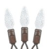 Novelty Lights C6 LED Christmas String Lights 70 Strawberry Bulbs (Green Wire, 24 Feet) - 3 of 3