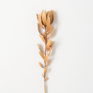 29"H Sullivans Subtle Brown Protea Spray, Brown - 1 of 2