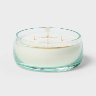 4 Wick Glass Citronella Pineapple Cove Scented Candle 16oz - Threshold™