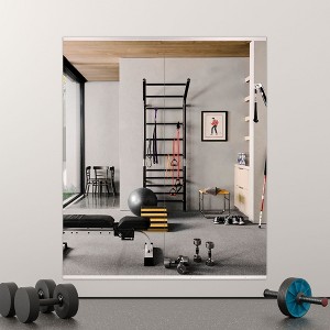 Apmir  2/3 pieces Rectangle Wall Mirror Home Gym Mirror Dance Studio Mirror Tempered Glass Mirror - 1 of 4