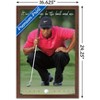 Trends International Tiger Woods - The Ball & Me Framed Wall Poster Prints - 3 of 4