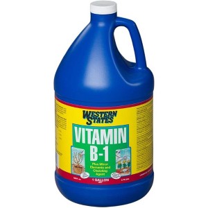 Liquinox Western States Vitamin B-1 Transplant Solution Concentrate, 1 Gallon - 1 of 1