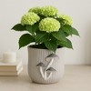 Handcrafted Cement Planter with Textured Tree Trunk Design and Mushroom Accents - Decorative Pot for Indoor and Outdoor Spaces - 3 of 4