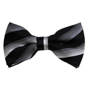 Men's Stripe Color 2.75 W And 4.75 L Inch Pre-Tied adjustable Bow Ties - 1 of 3