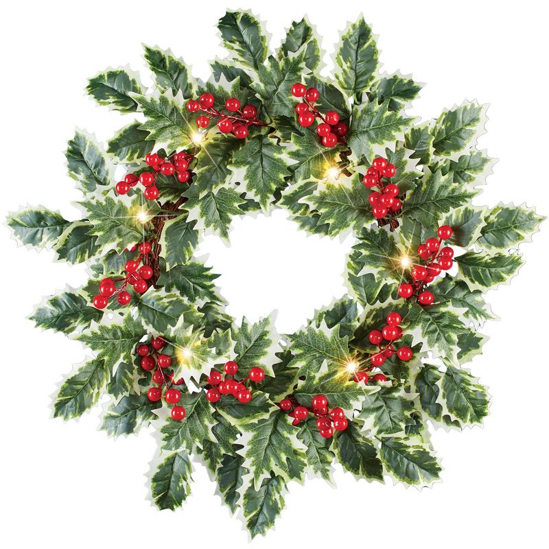 Collections Etc LED Lighted Holly Festive Hanging Door Wreath, 1 of 3