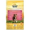 Nature's Recipe Grain Free Salmon, Sweet Potato & Pumpkin Recipe Dry Dog Food - 2 of 4