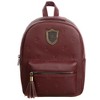 Harry Potter Gryffindor 2-Pack Mini Backpack and Lanyard Set - 2 of 4