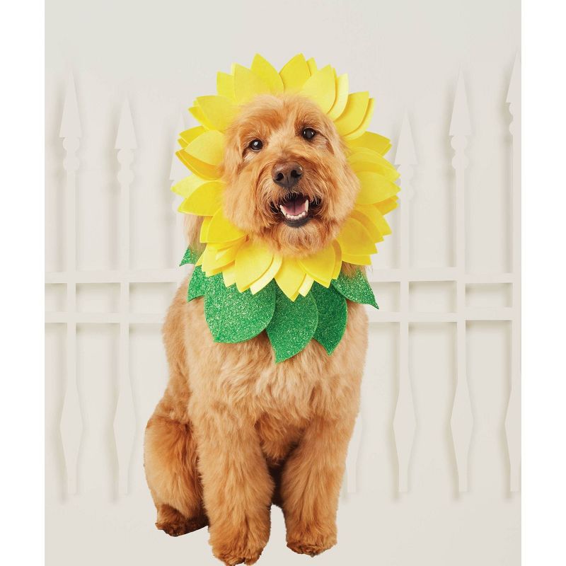 Sun Flower Dog Costume - M/L - Hyde &#38; EEK! Boutique&#8482;, 1 of 2