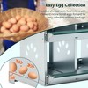 Kumasinova 3/6/8/4-Bay Metal Chicken Nesting Box( with Legs),Galvanized Steel Laying Box for Hens,Poultry Supplies with Egg Protection,Green - 4 of 4