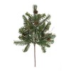 Pine Spray with Pinecones (Set of 6) - 2 of 3