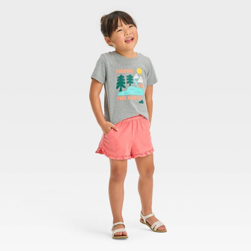 Toddler Girls' 'Friend Of The Earth' Short Sleeve T-Shirt - Cat & Jack™ Gray, 4 of 5