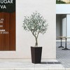 DR.Planzen UV Resistant 6-7FT Artificial Olive Tree with White/Brown Tall Planter - Faux Plants with three branches for Indoor/Outdoor for Home Decor - 2 of 4