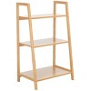 Alucard 3 Tier Shelf - STG1916 - Natural - Safavieh - 3 of 4