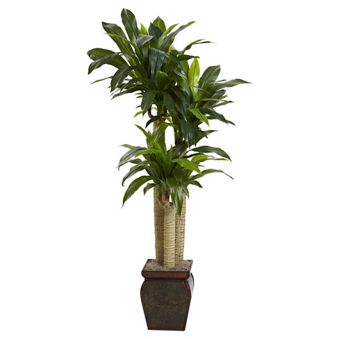 Origin 21 17-in Green Indoor Artificial Dracaena Artificial Plant in the Artificial  Plants & Flowers department at