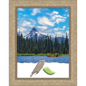 Amanti Art Astor Champagne Picture Frames - 1 of 4
