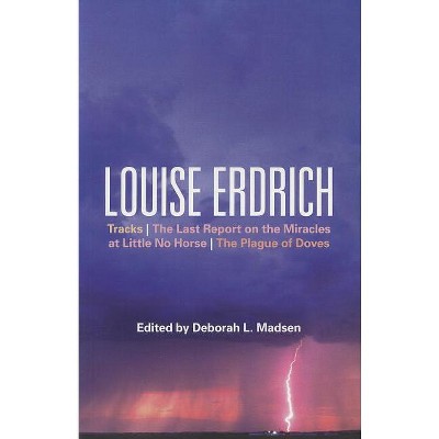Louise Erdrich - (Bloomsbury Studies in Contemporary North American Fiction) by  Deborah L Madsen & Sarah Graham (Paperback)
