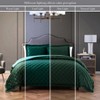 Bebejan 3 Piece Velvet Comforter Set - 3 of 4