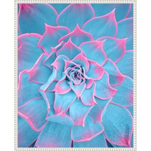 Amanti Art Blue and Pink Succulent by Tom Windeknecht Framed Canvas Wall Art - 1 of 4
