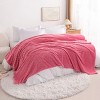 All Seasons Plush Flannel Blanket, Soft and Warm Bed Blanket for Couch Sofa Bed - NTBAY - 2 of 4