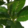 NicBex 70" Artificial Bamboo with Pot Realistic Faux Plant for Indoor/Outdoor Decor, Easy Maintenance, Sturdy Base, Lifelike Segmented Stems - 4 of 4