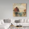 Trademark Fine Art -Silvia Vassileva 'Landscape Monotype Ii' Canvas Art - 3 of 3