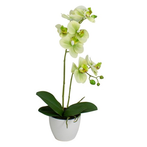 Northlight Real Touch™️ Artificial Orchid Potted Plant - 14