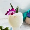 Torani Sugar Free Coconut Syrup - 1500ml/4ct - 4 of 4