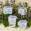 The Honey Pot Company 100% Organic Cotton Cover Calming Herbal Infusion Regular Pads - 20ct - 2 of 4