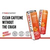 FITAID ENERGY, 200mg Natural Caffeine, Mango Sorbet 12 Fl Oz (Pack of 12) - 4 of 4