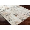 Hauteloom Chitt Area Rug - 3 of 4