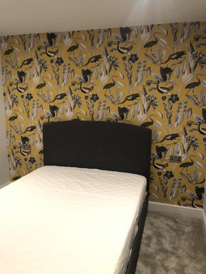 Guest review image 2 of 2, zoom in