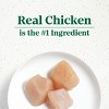 Nutro Ultra Chicken, Lamb, Salmon, Superfoods Adult Wet Dog Food - 3.5oz - 3 of 4