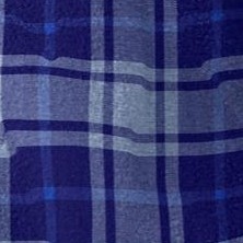 navy plaid